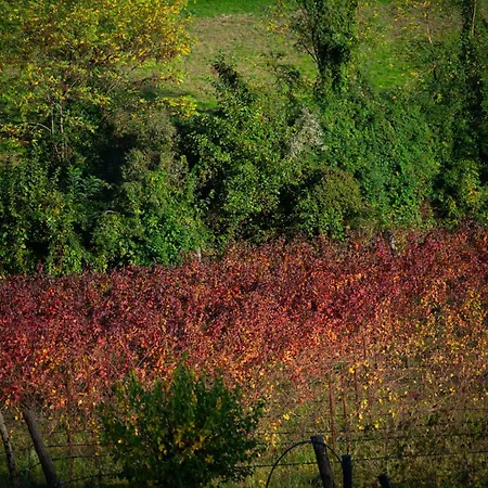 Ca Lovisotto Prepotto (Udine)