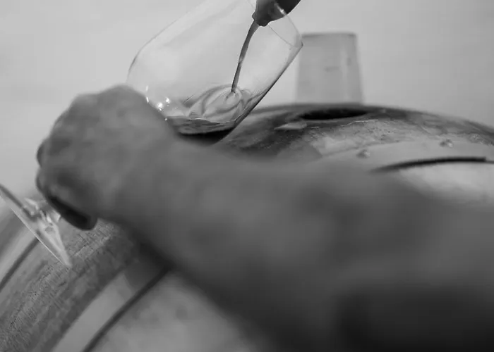 Κατάλυμα σε φάρμα Ca Lovisotto *