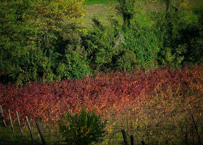 Ca Lovisotto Prepotto (Udine)